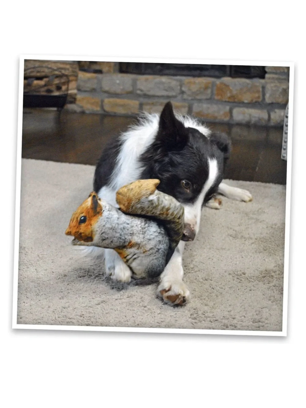 Naturally Calming Squirrel Refillable Juananip Toy -